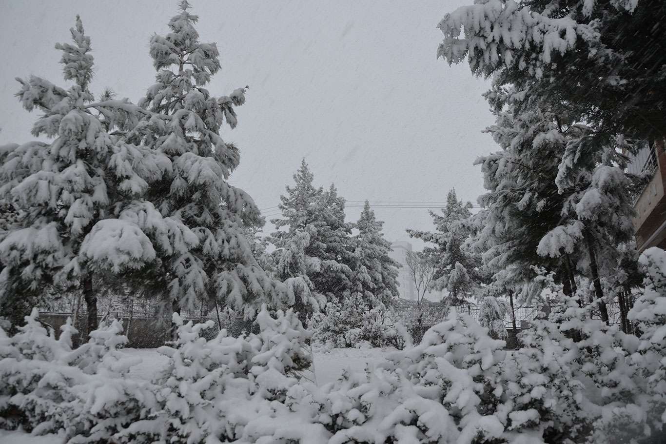 Diyarbakır güne karla uyandı
